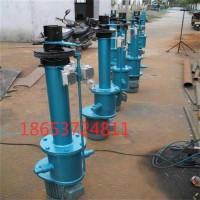DTZ300電動(dòng)推桿 向上金品電液推桿